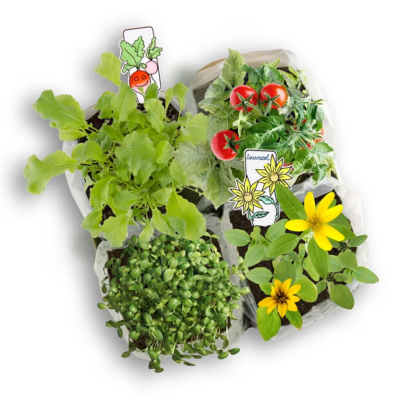 Experimentier-Set "Taschen-Pflanzset", 14-tlg.