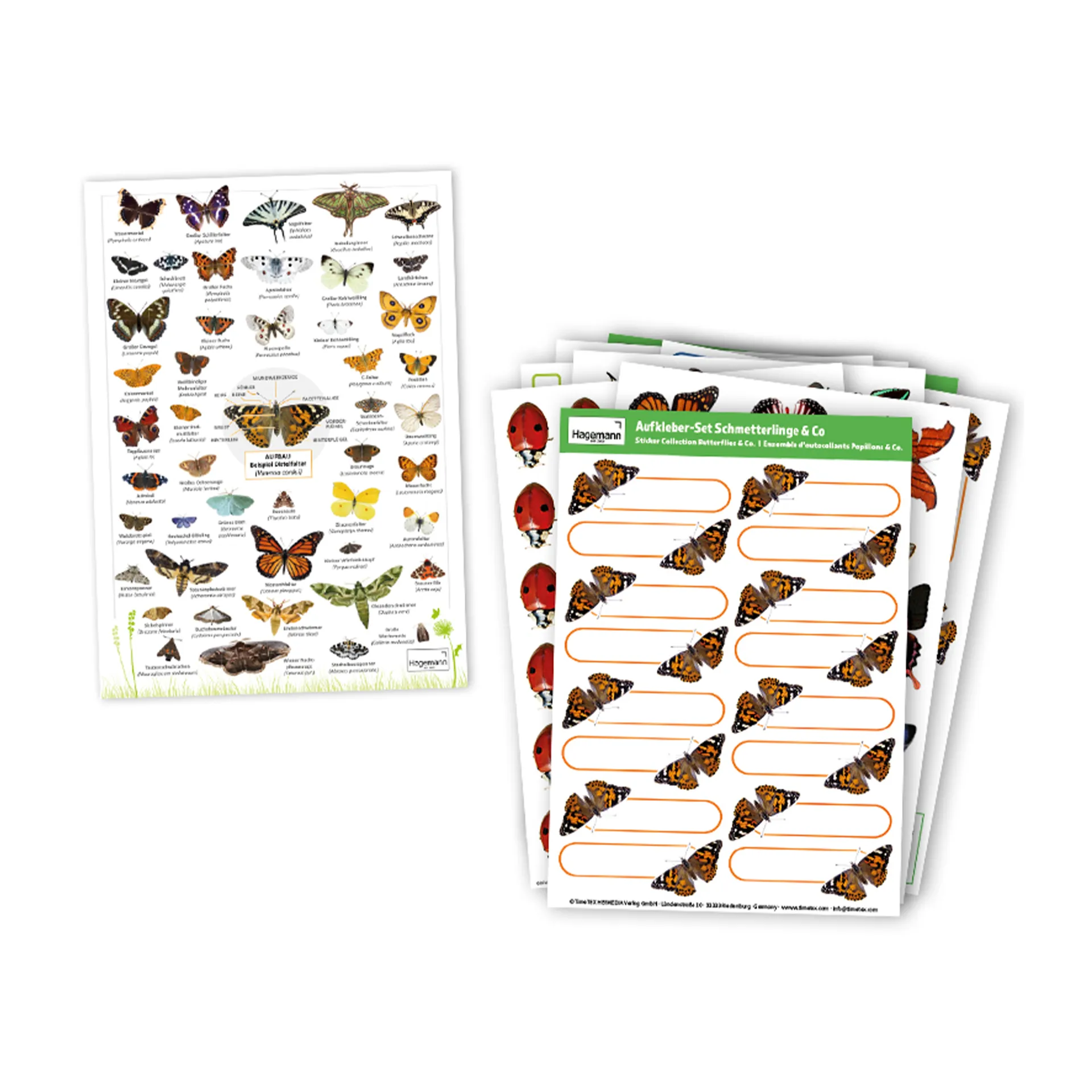 Zuchtset "Schmetterlinge", kompakt mit Komfort-Netz, 7-tlg.