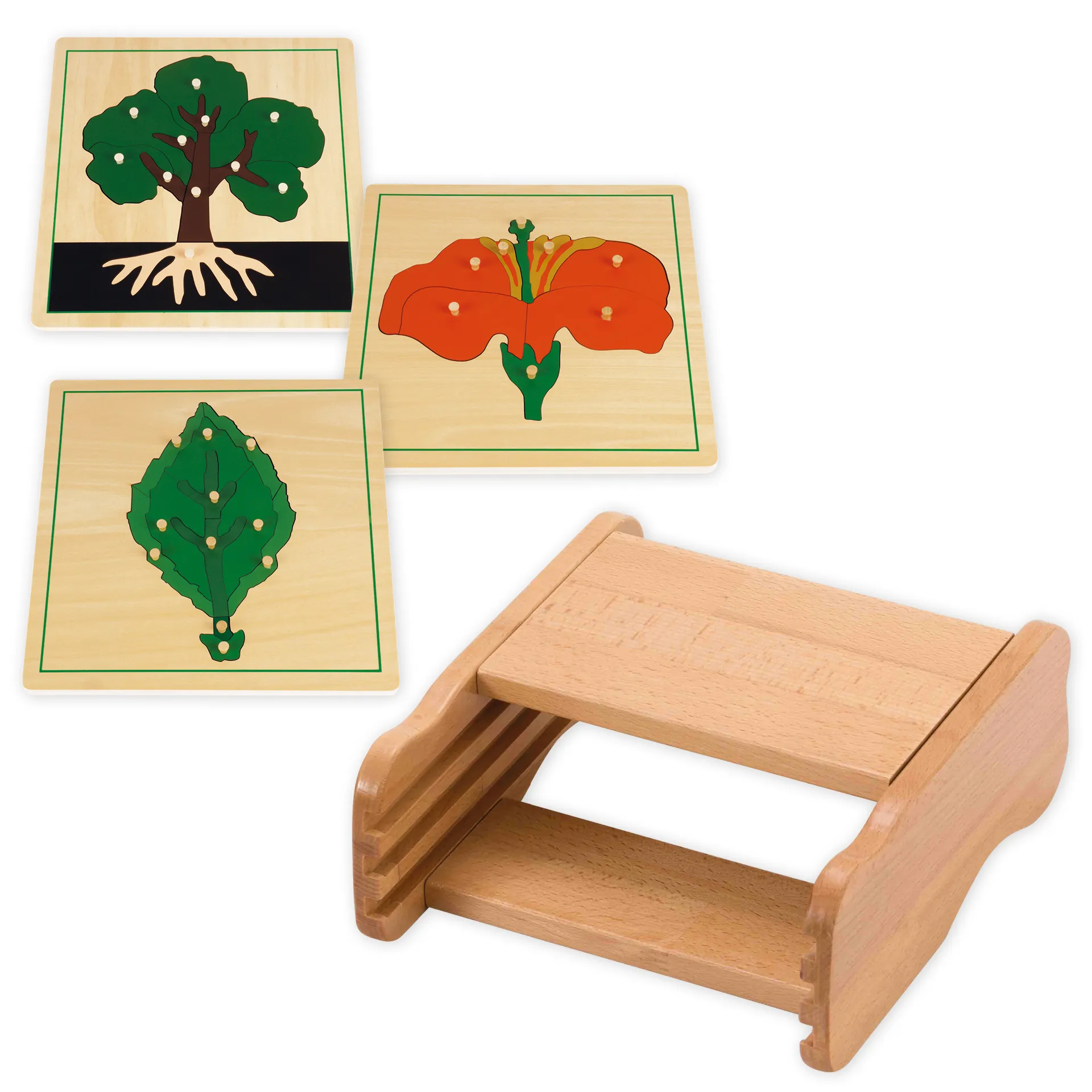 TimeTEX Set Botanische Puzzle mit Kasten "Montessori Premium"