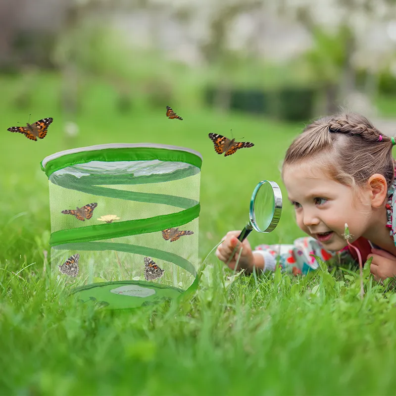 Gutschein-Set "Schmetterlinge", groß, 12-tlg.