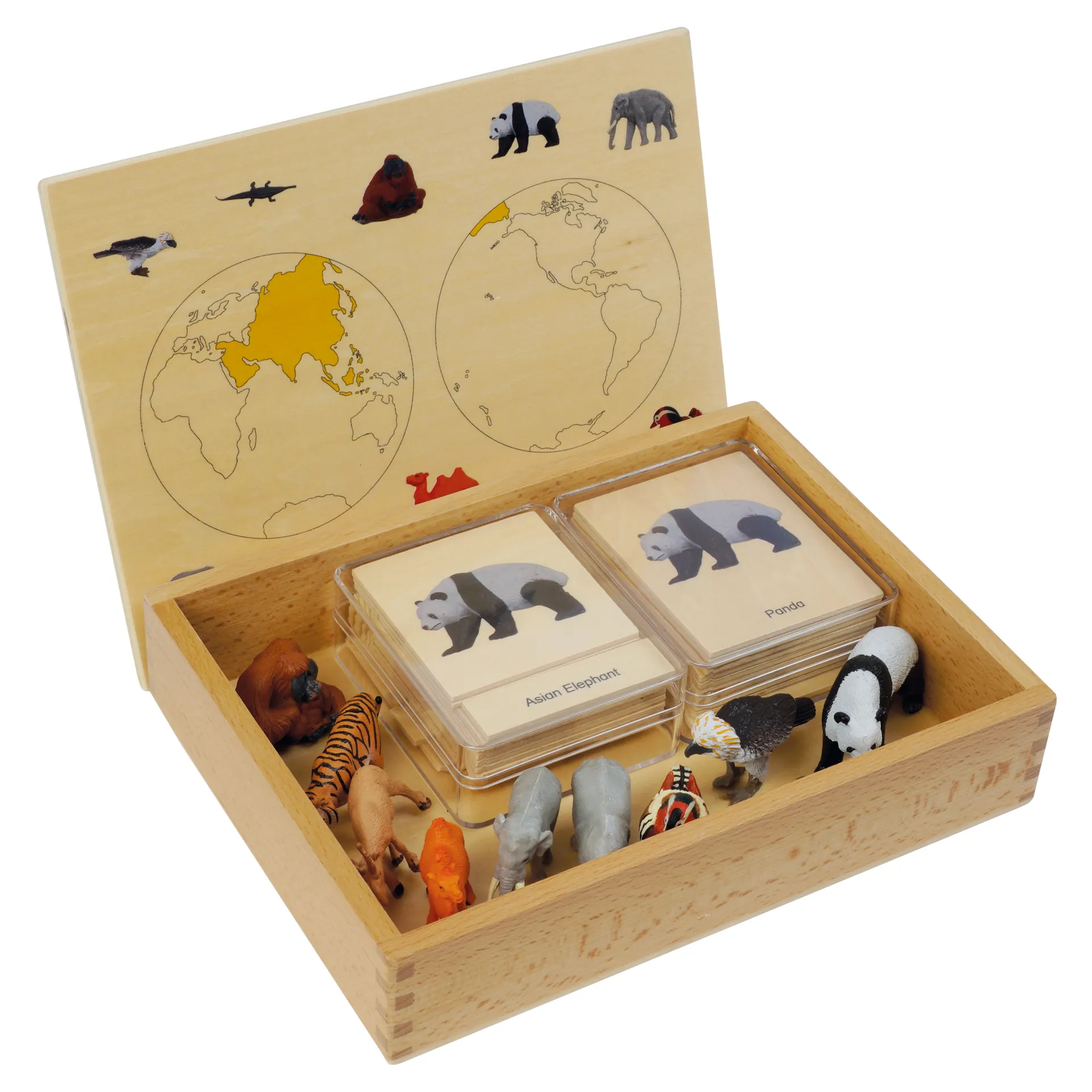 TimeTEX Mini-Tiere-Set Asien "Montessori Premium"