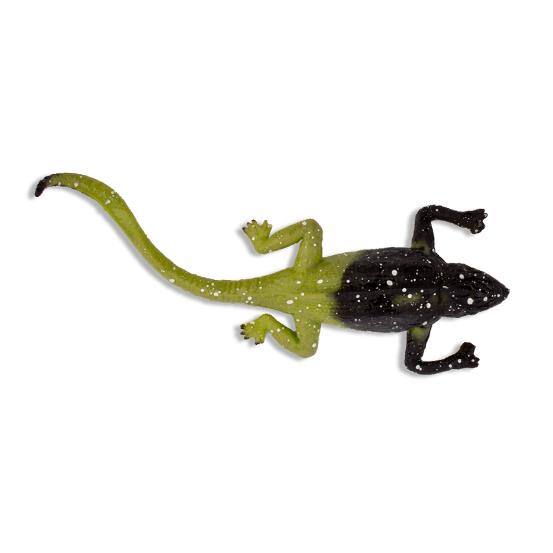 TimeTEX Farbwechselnde Eidechse, 12x5 cm