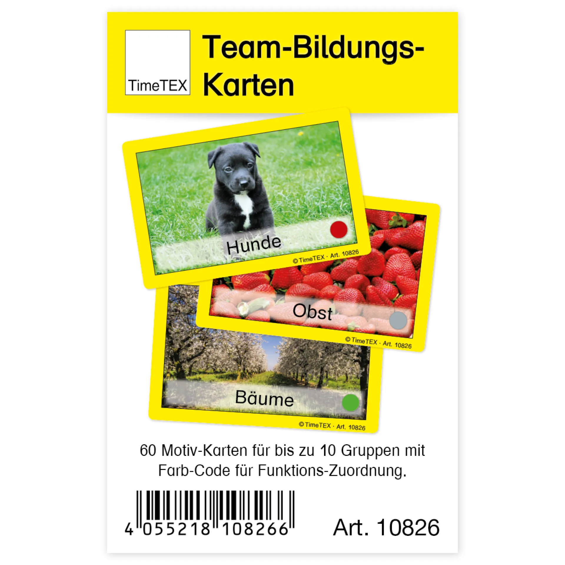 TimeTEX Team-Bildungs-Karten, 60-tlg. im Etui