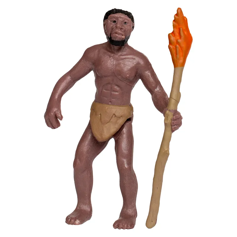 Model "Ontwikkeling van de mens", 5-delig