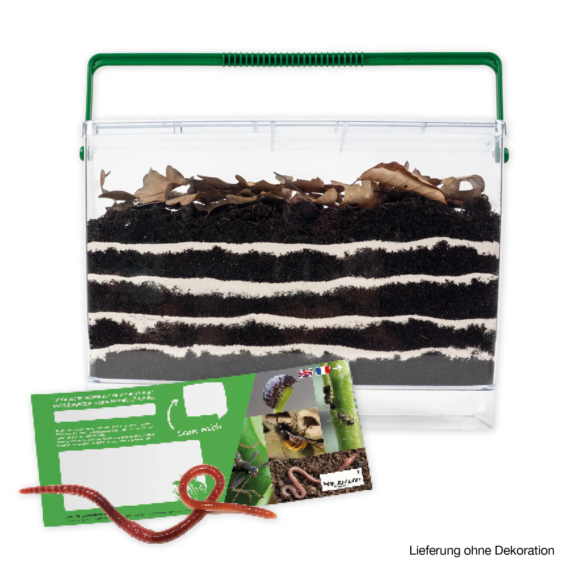 Gutschein-Set "Regenwürmer", 5-tlg.