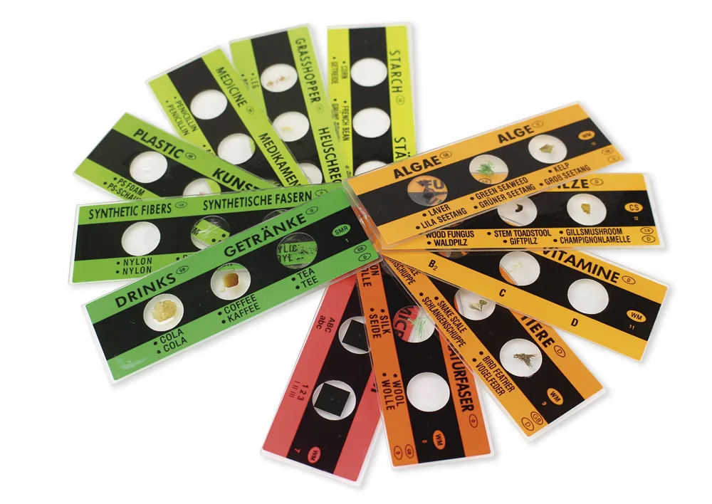 Fertig-Präparate zum Mikroskopieren, 36 Stück