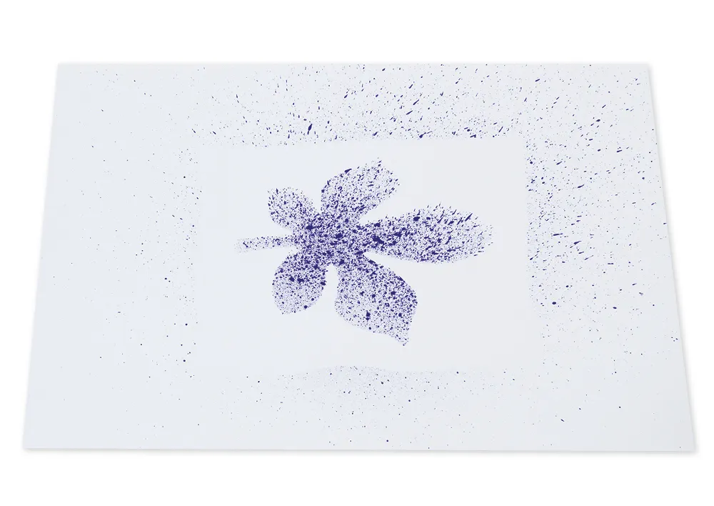 Set AquaTint à 50 ml, 12-tlg.