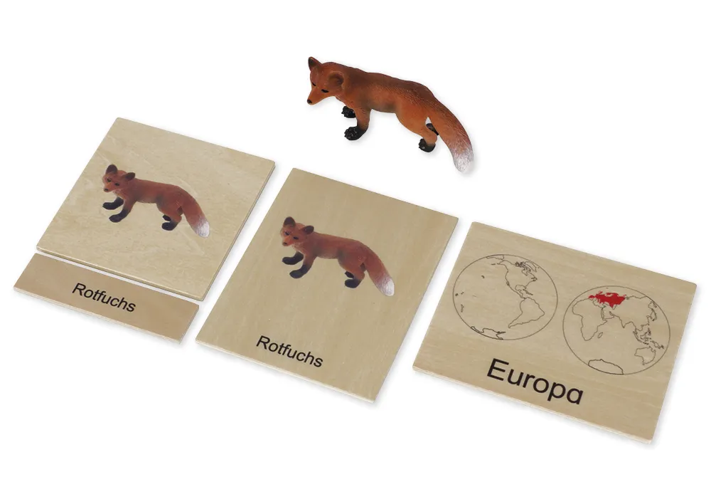 TimeTEX Tier-Kontinent-Box "Montessori Premium"