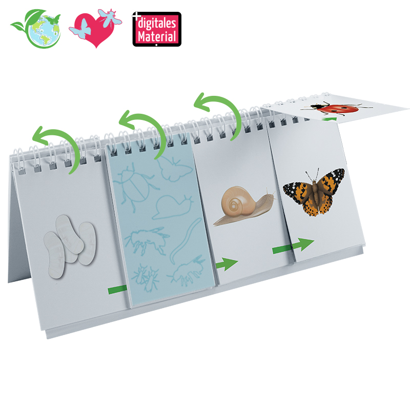 TimeTEX Klappen-Flipchart "Lebenszyklus: Schmetterlinge, Bienen & Co."