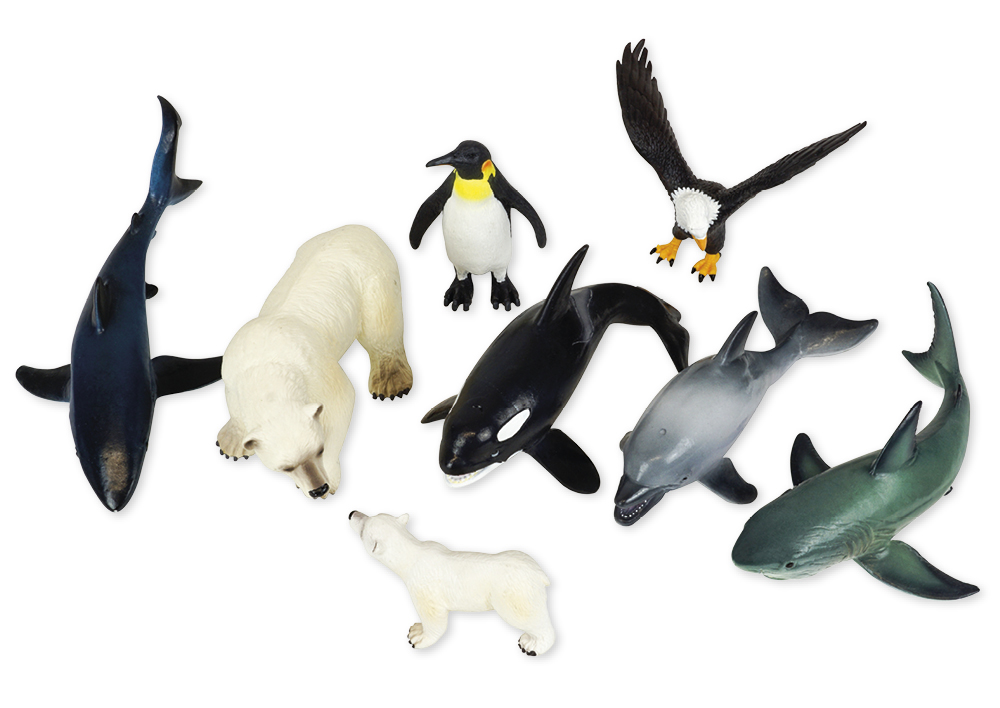 Hagemann Set Meeres- und Küsten-Tiere, 9-tlg.