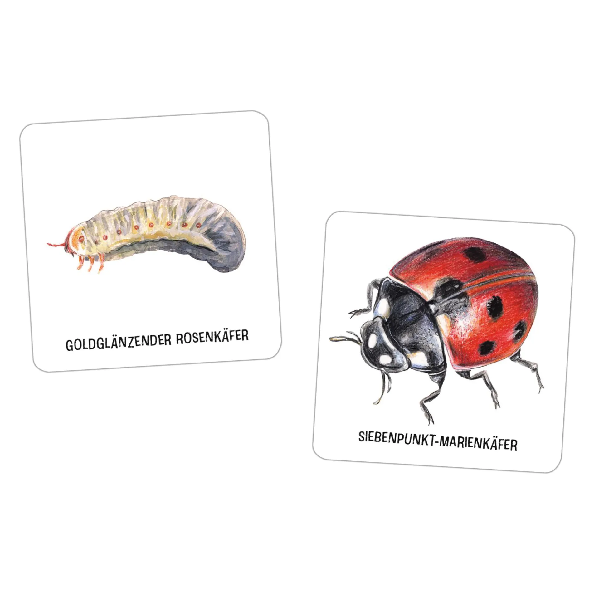 Memo-Spiel "Das große Insekten Memo", 61-tlg.