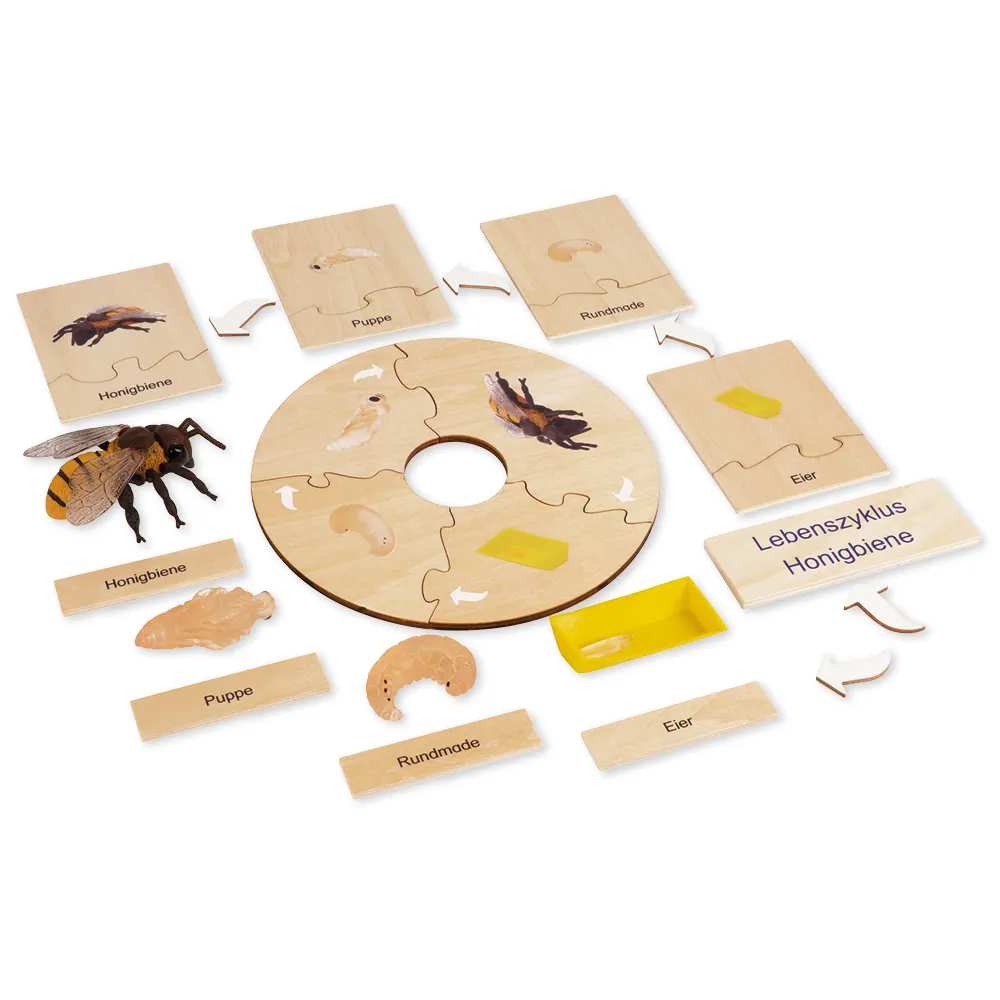 TimeTEX - Ciclul de viață la albinele melifere, în cutie din lemn "Montessori Premium"