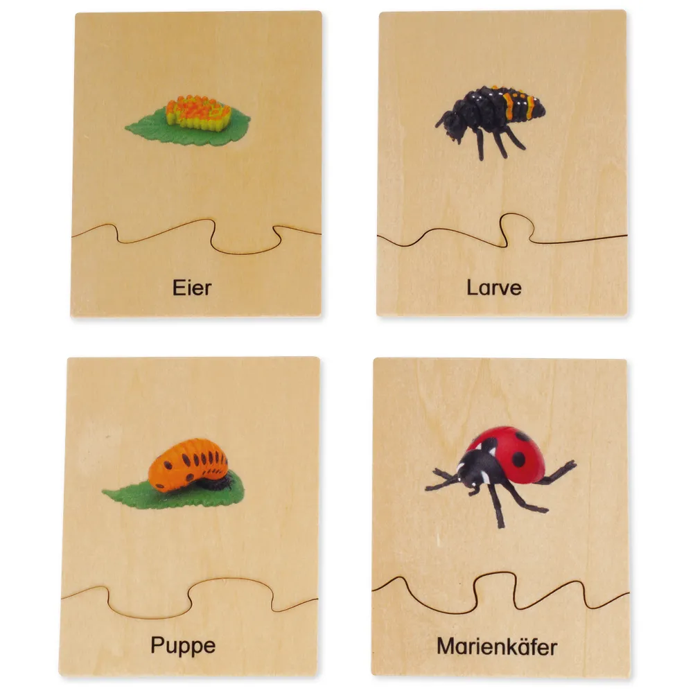 TimeTEX Lebenszyklus eines Marienkäfers, in Holzbox "Montessori Premium"