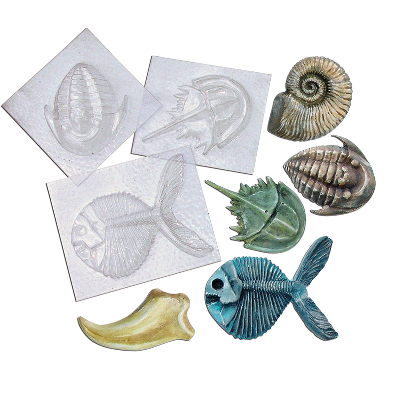 Set Gießformen "Fossilien", 5 Stück