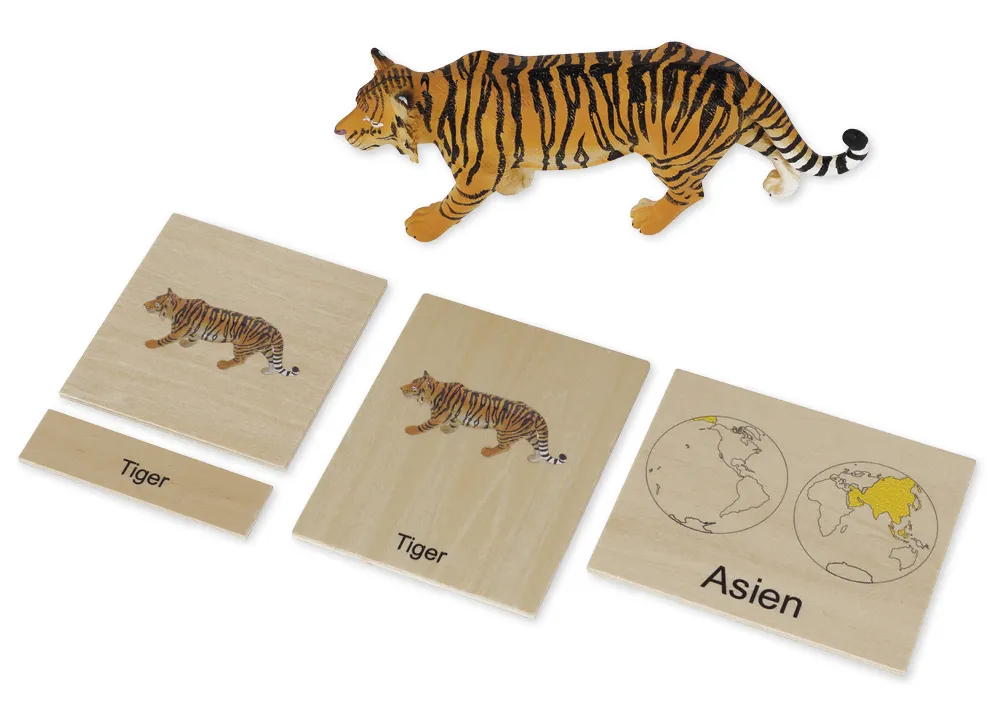 Coffret Animaux et Continents TimeTEX « Montessori Premium »