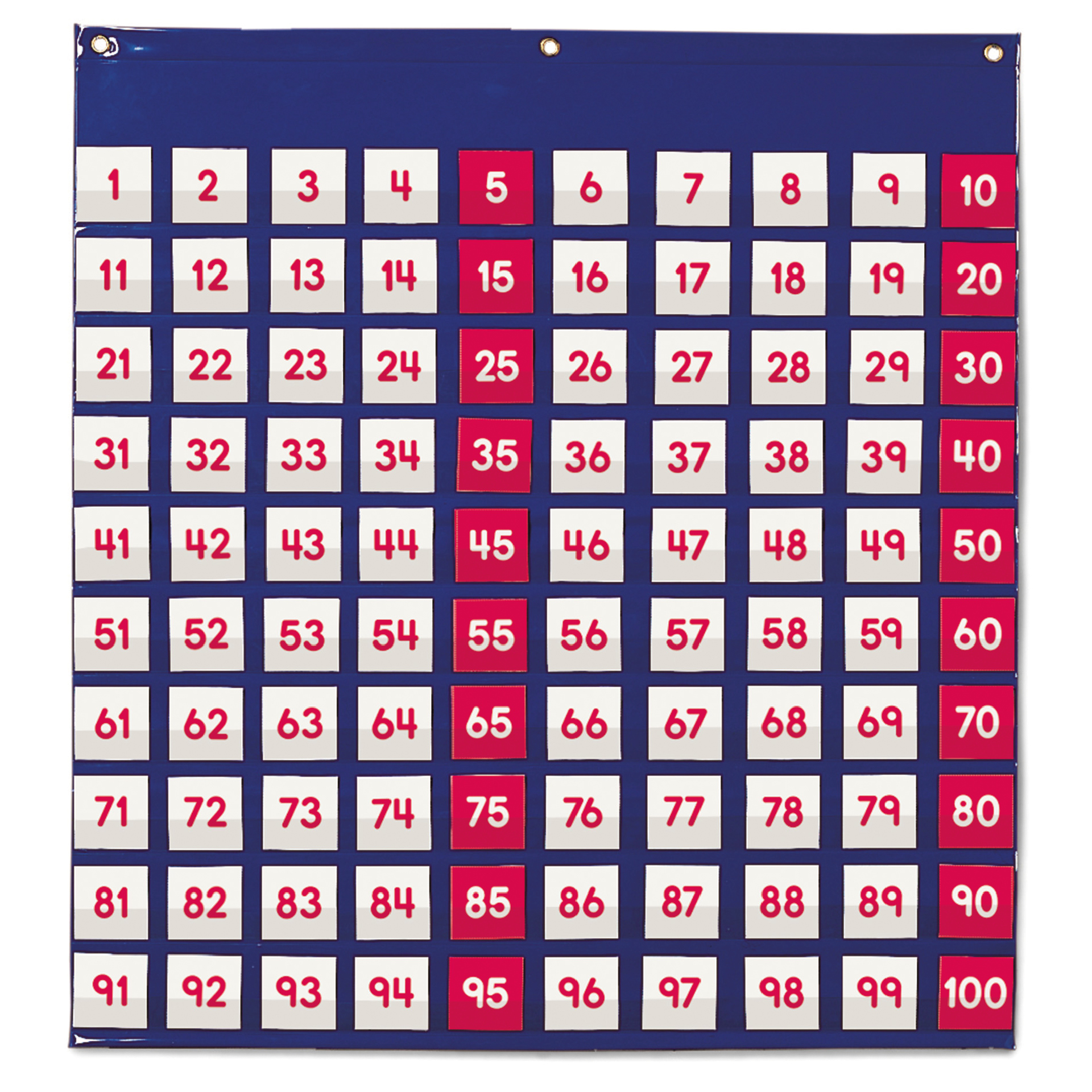 TimeTEX Hunderter-Tafel-Vorhang, ca. 66x70 cm, 121-tlg.