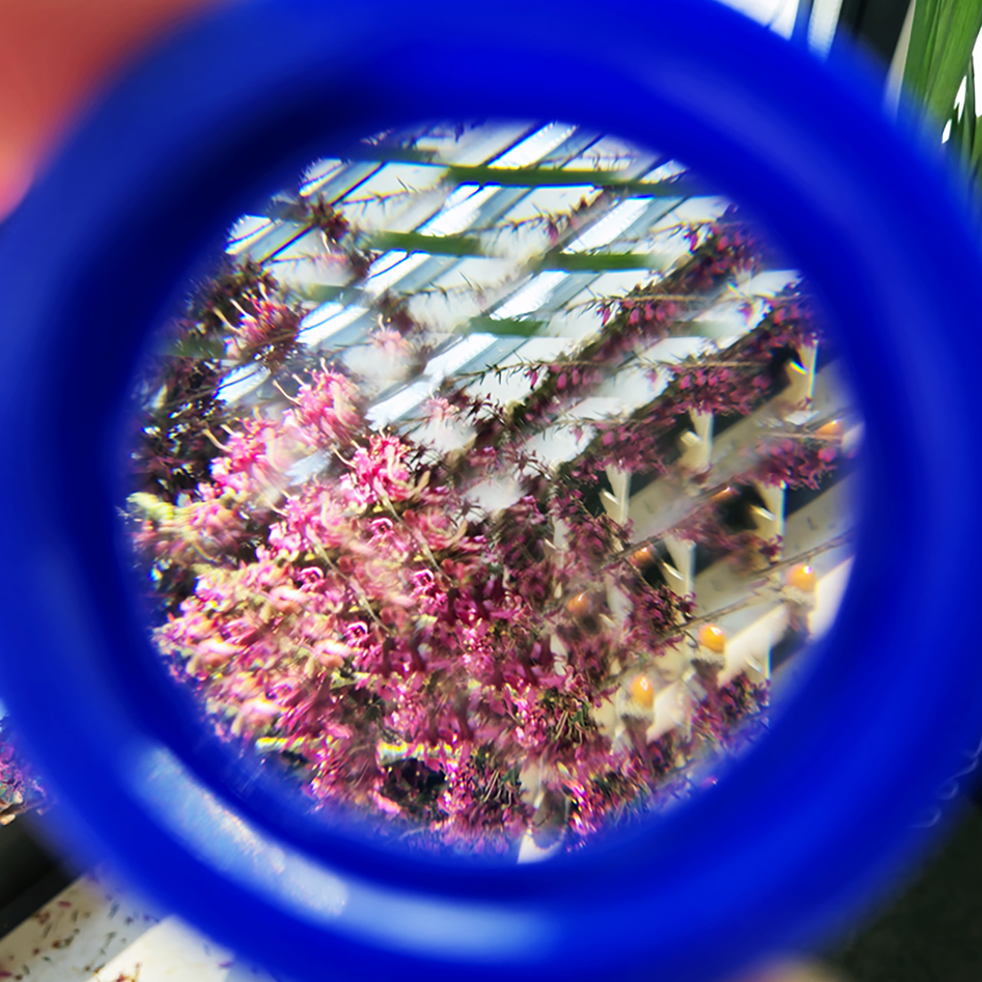 Facetten-Linse, 45 mm ø