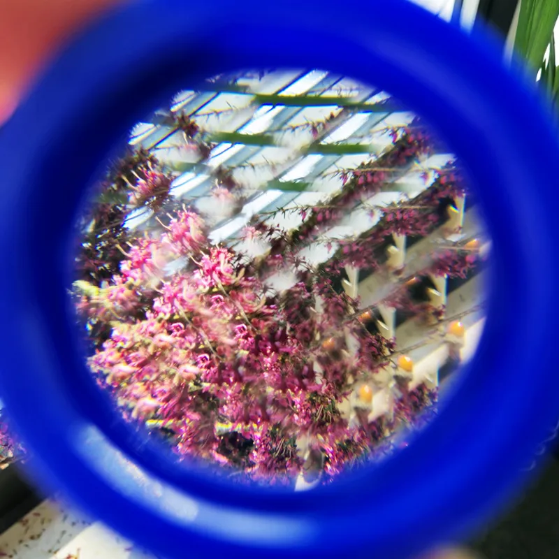 Facetten-Linse, 45 mm ø