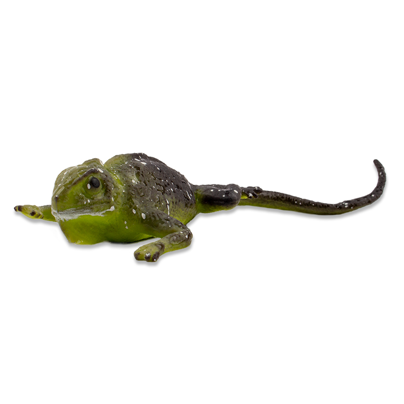 Farbwechselnde Eidechse, 12x5 cm Farbwechselnde Eidechse, 12x5 cm