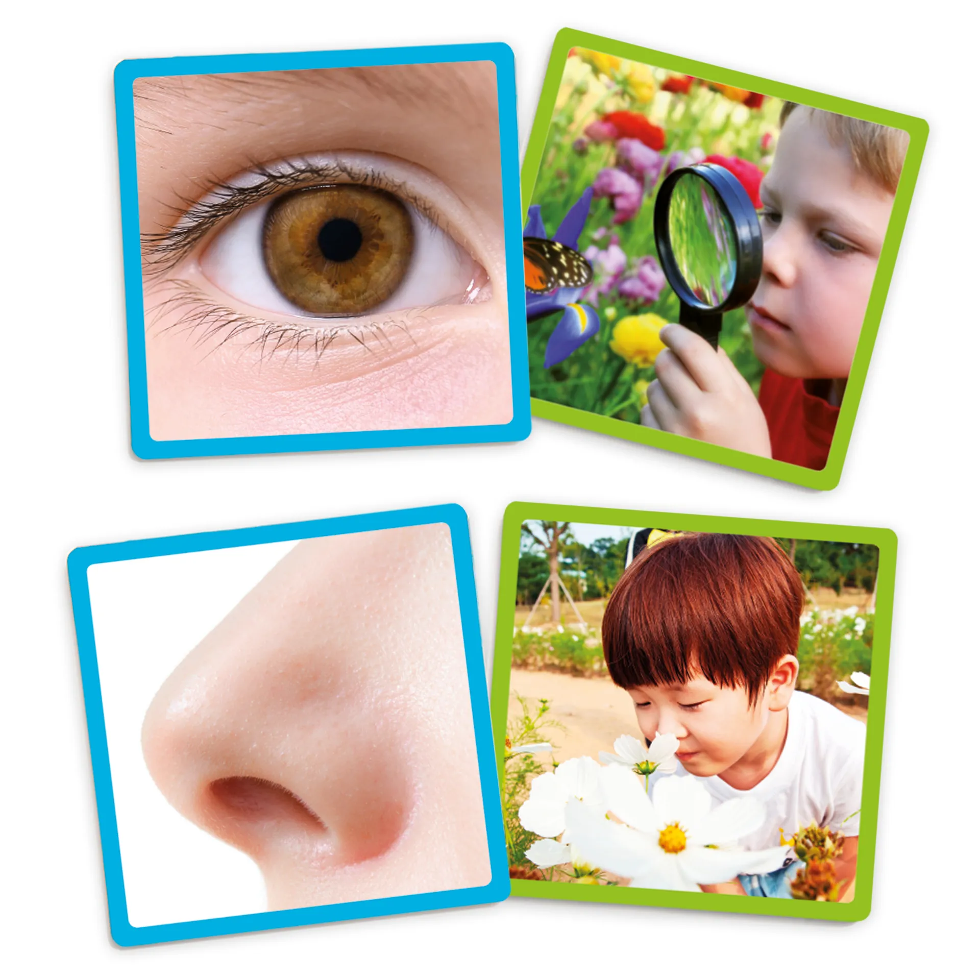 Zuordnungs-Spiel "Die 5 Sinne", 51-tlg.