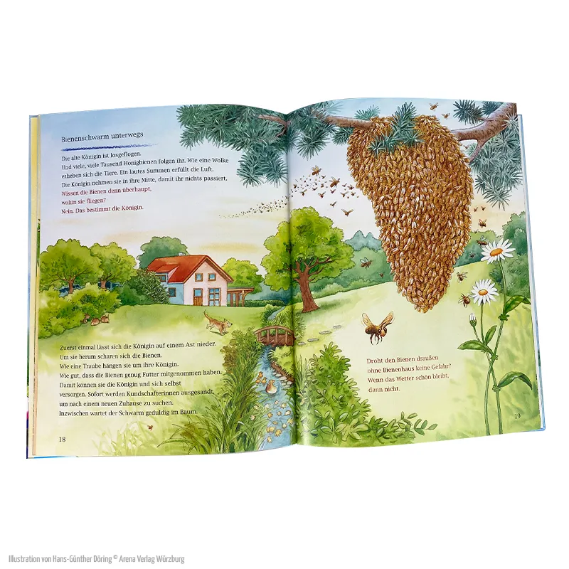 Buch "Wohin fliegst du, kleine Honigbiene?", 32 Seiten