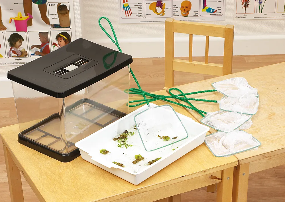 Set Teichkescher, 33 cm lang, 5 Stück