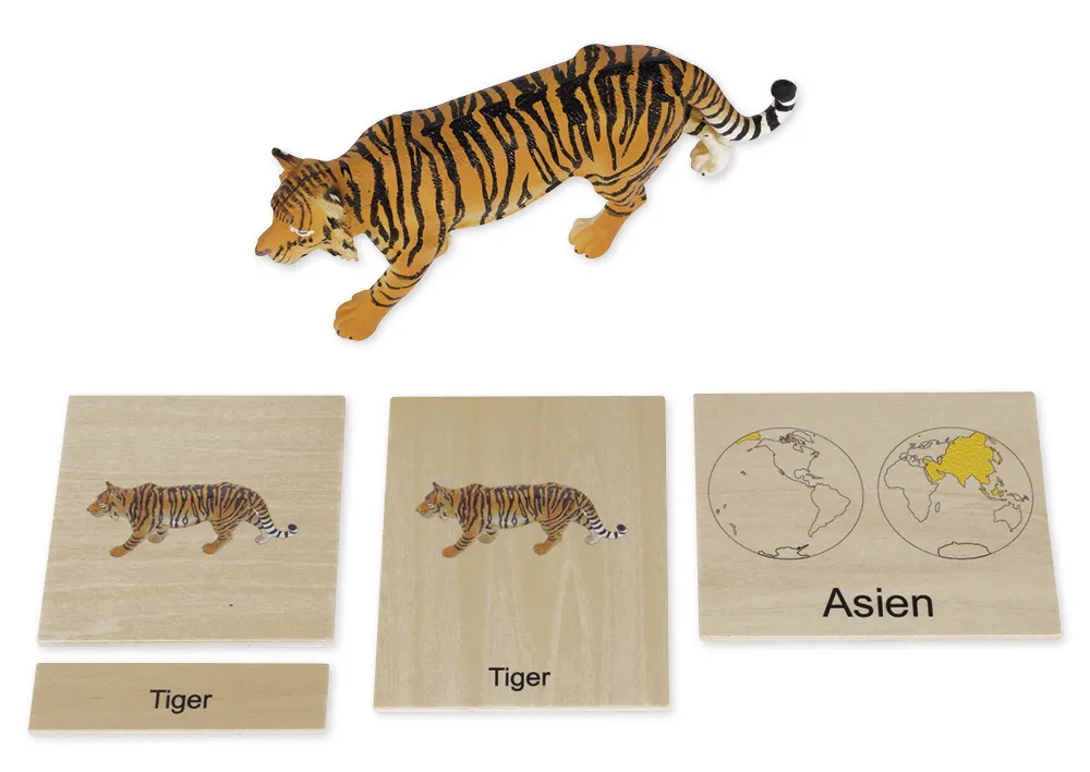 TimeTEX Tier-Kontinent-Box "Montessori Premium"