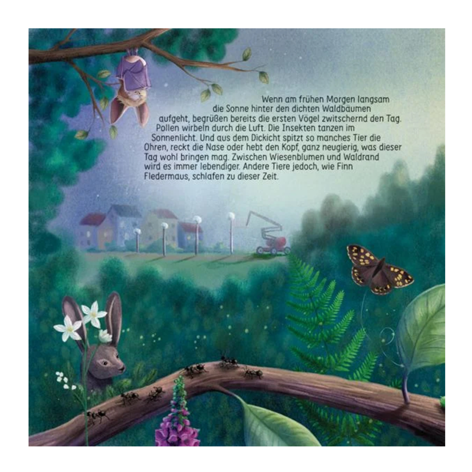 Buch "Finn Fledermaus und das Blenden in der Nacht", 48 Seiten