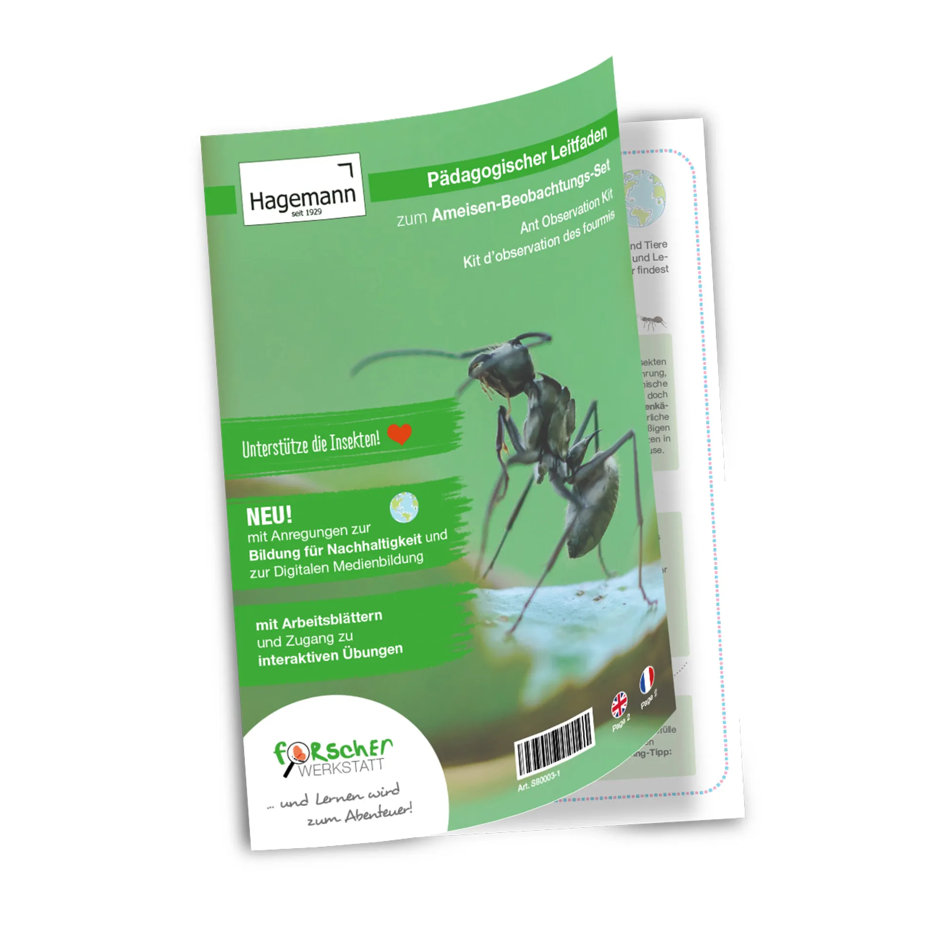 Observatieset "mieren", 8-delig