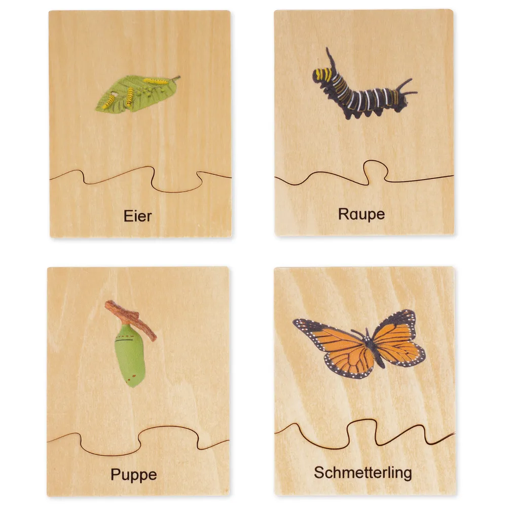 TimeTEX - Ciclul de viață la fluturi, în cutie din lemn "Montessori Premium"