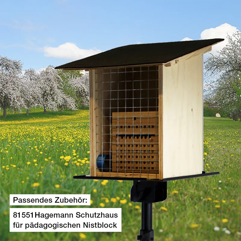 Zuchtset "Wildbienen mit Kokons", Gehörnte Mauerbiene, 5-tlg.