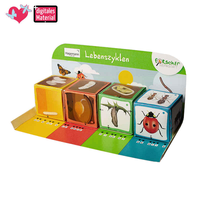 Lernspiel-Würfel "Lebenszyklus Schmetterlinge & Co.", 5-tlg.