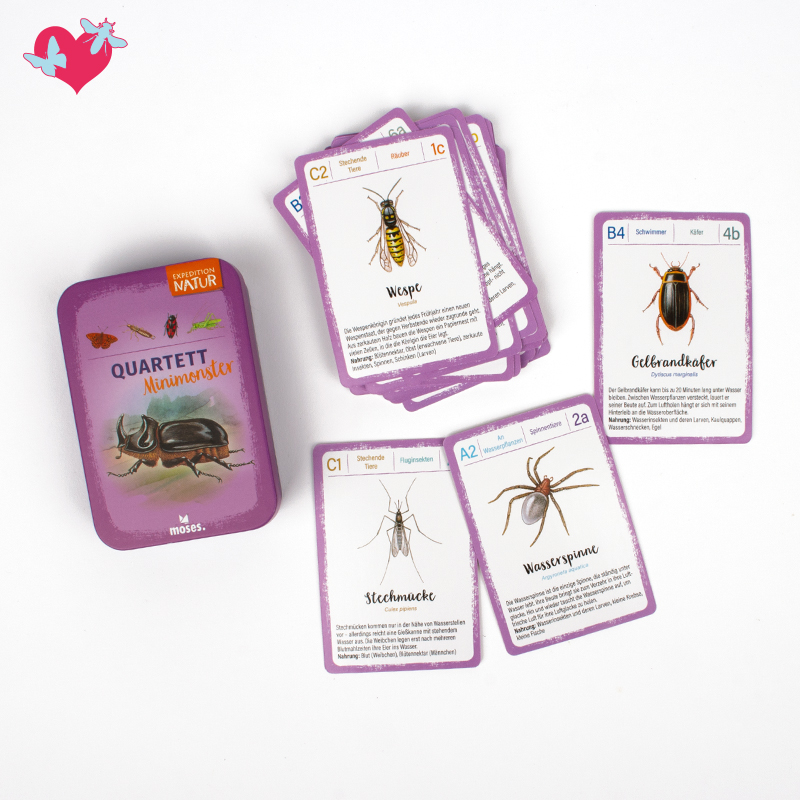 TimeTEX Lernspiel "Minimonster Insekten-Quartett", 32 Karten