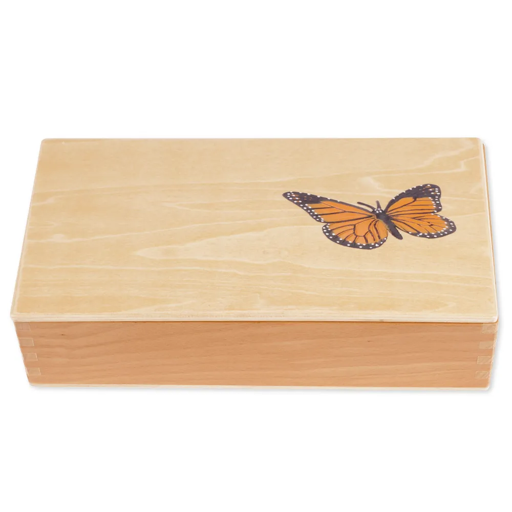 TimeTEX - Ciclul de viață la fluturi, în cutie din lemn "Montessori Premium"