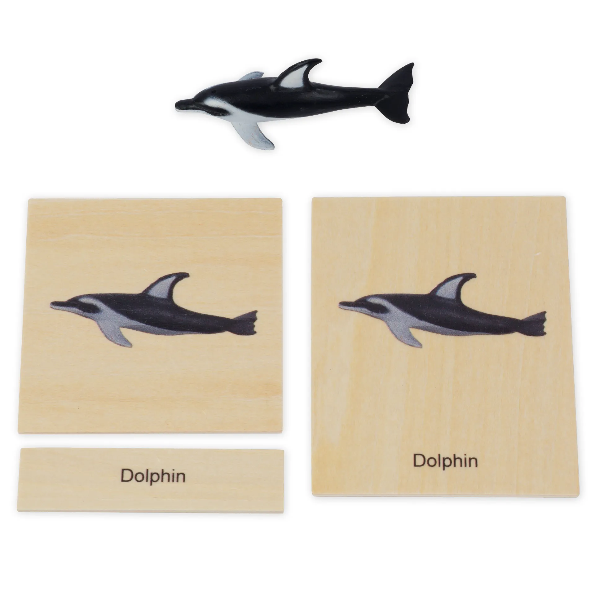TimeTEX Mini-Meerestiere-Set "Montessori Premium"