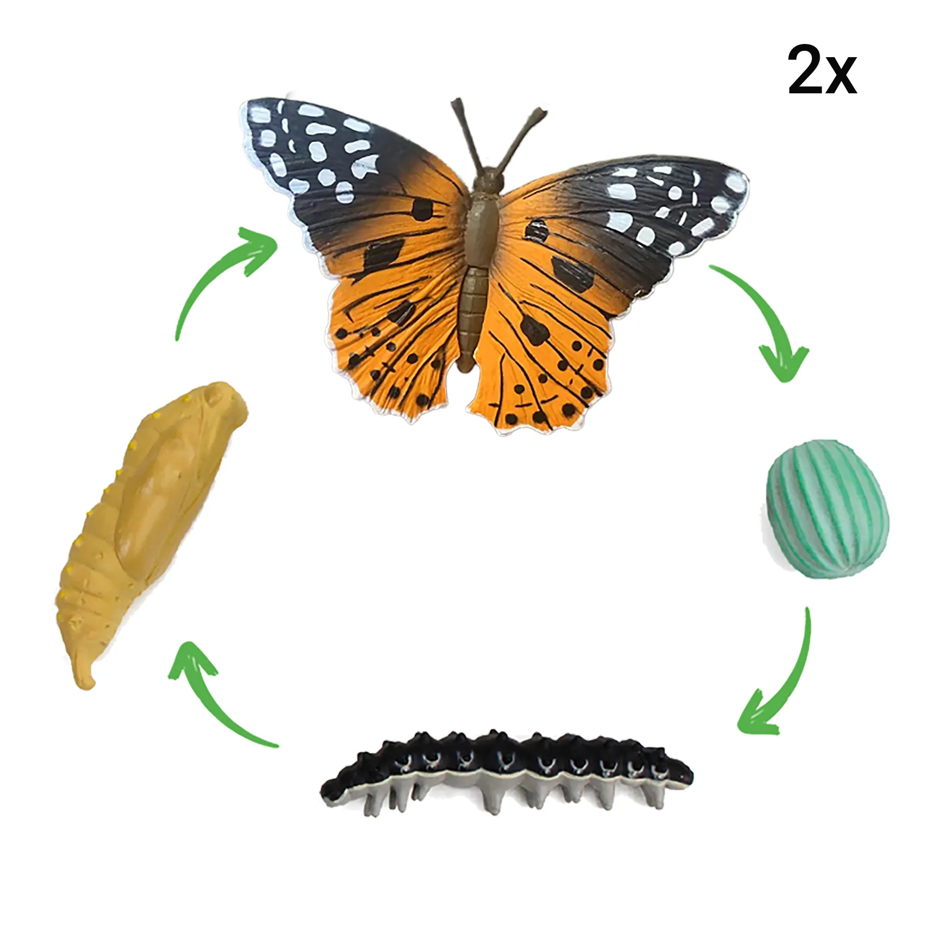 Klassen-Projektset "Schmetterlings-Zucht", 65-tlg.