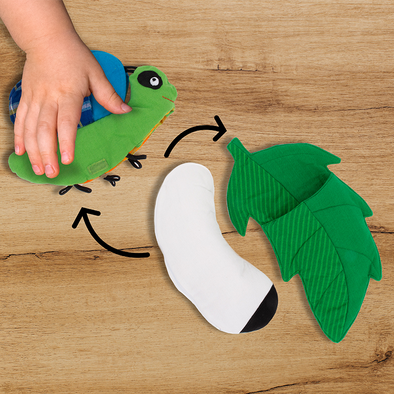 Model tkaniny cyklu życia „Motyl”, 3 szt.