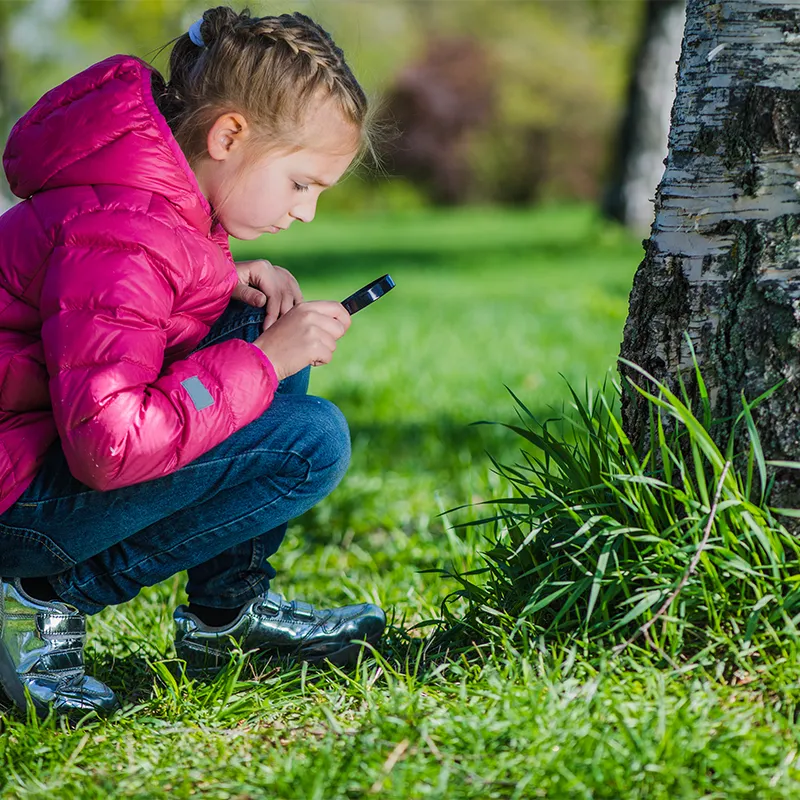 Set Lupen, bunt, 8 Stück
