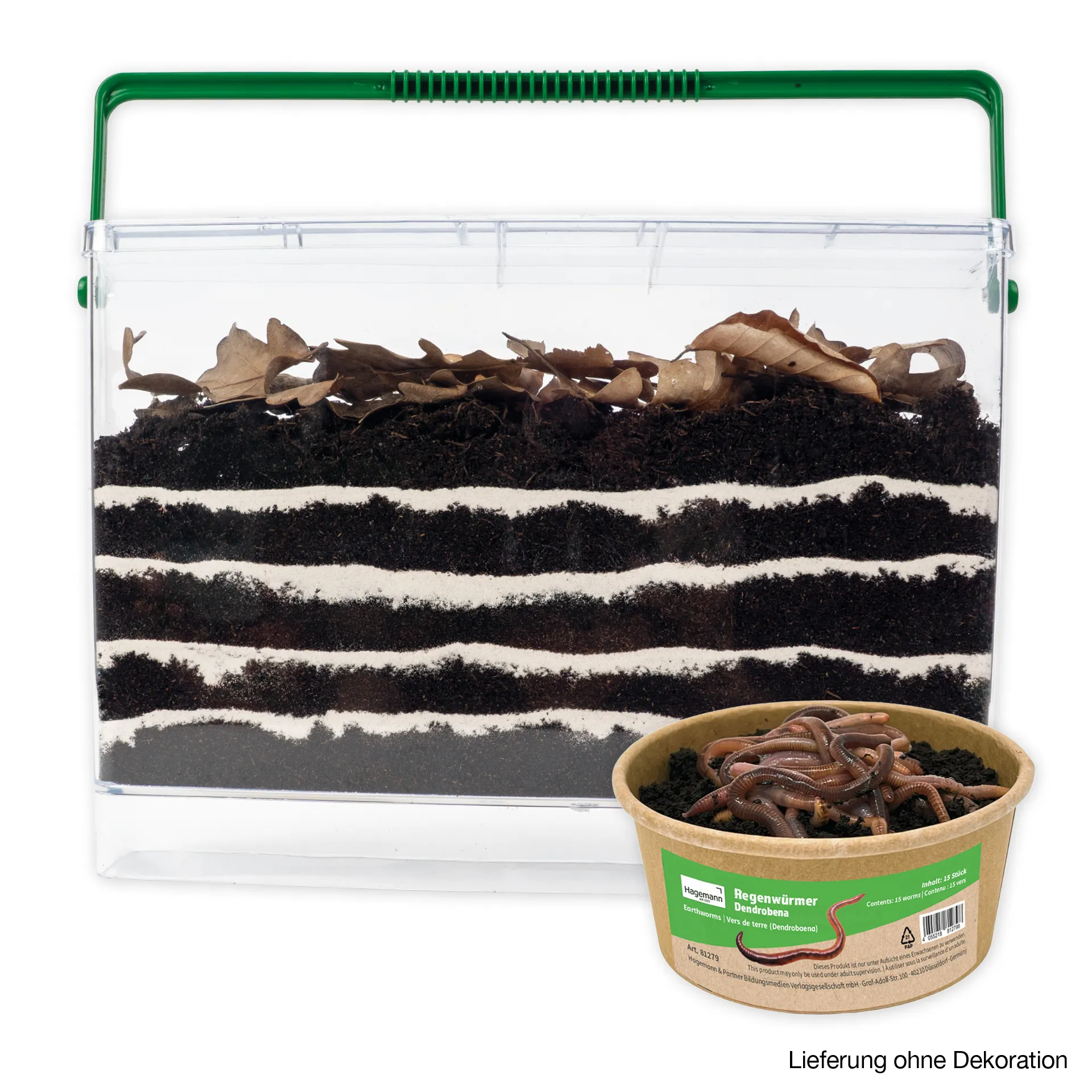 Zuchtset "Regenwürmer", 5-tlg.