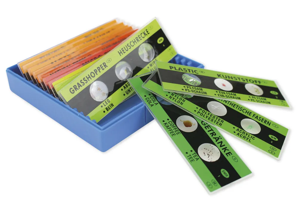 Fertig-Präparate zum Mikroskopieren, 36 Stück