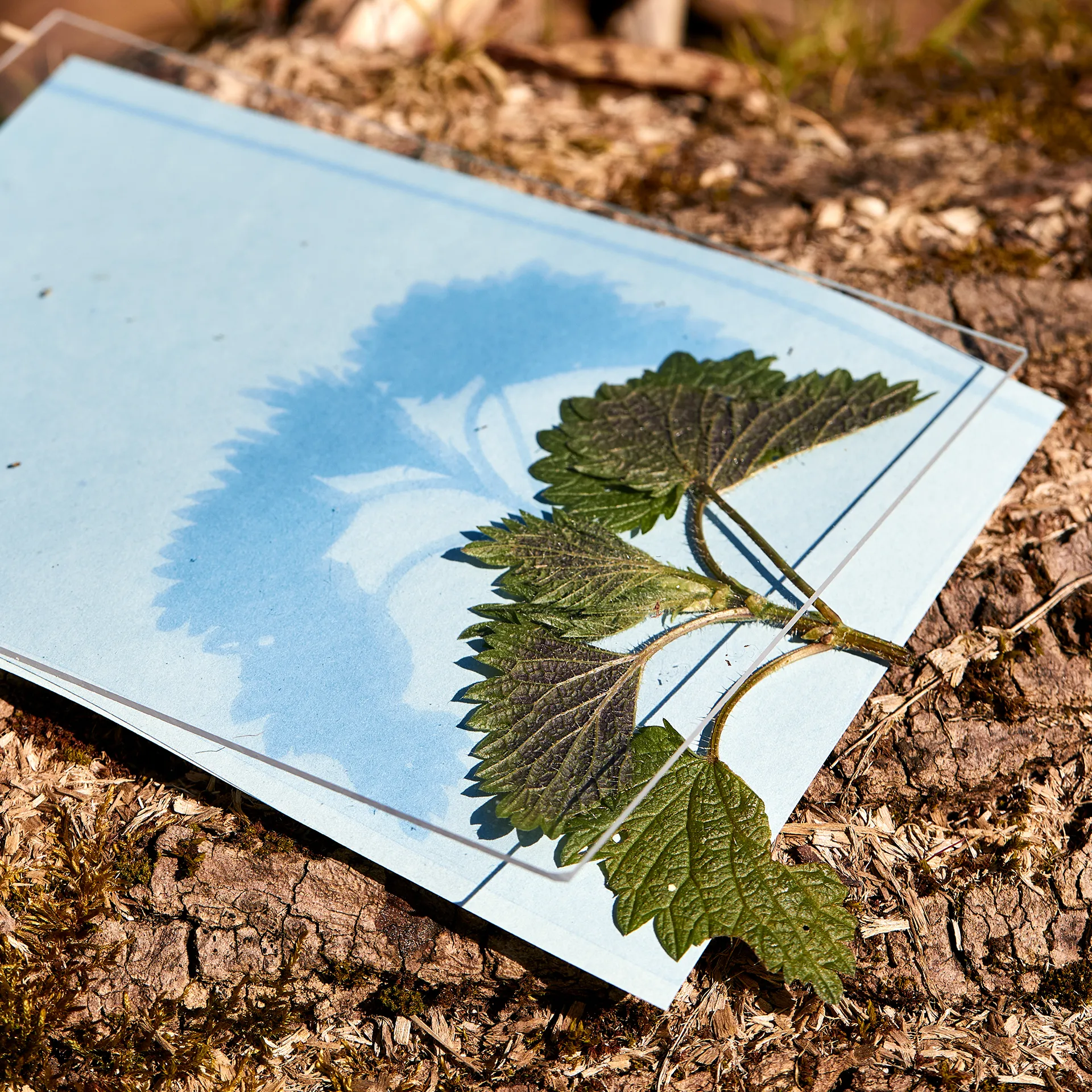 Foto-Solarpapier A5, mit Fixierscheibe, 10 Blatt