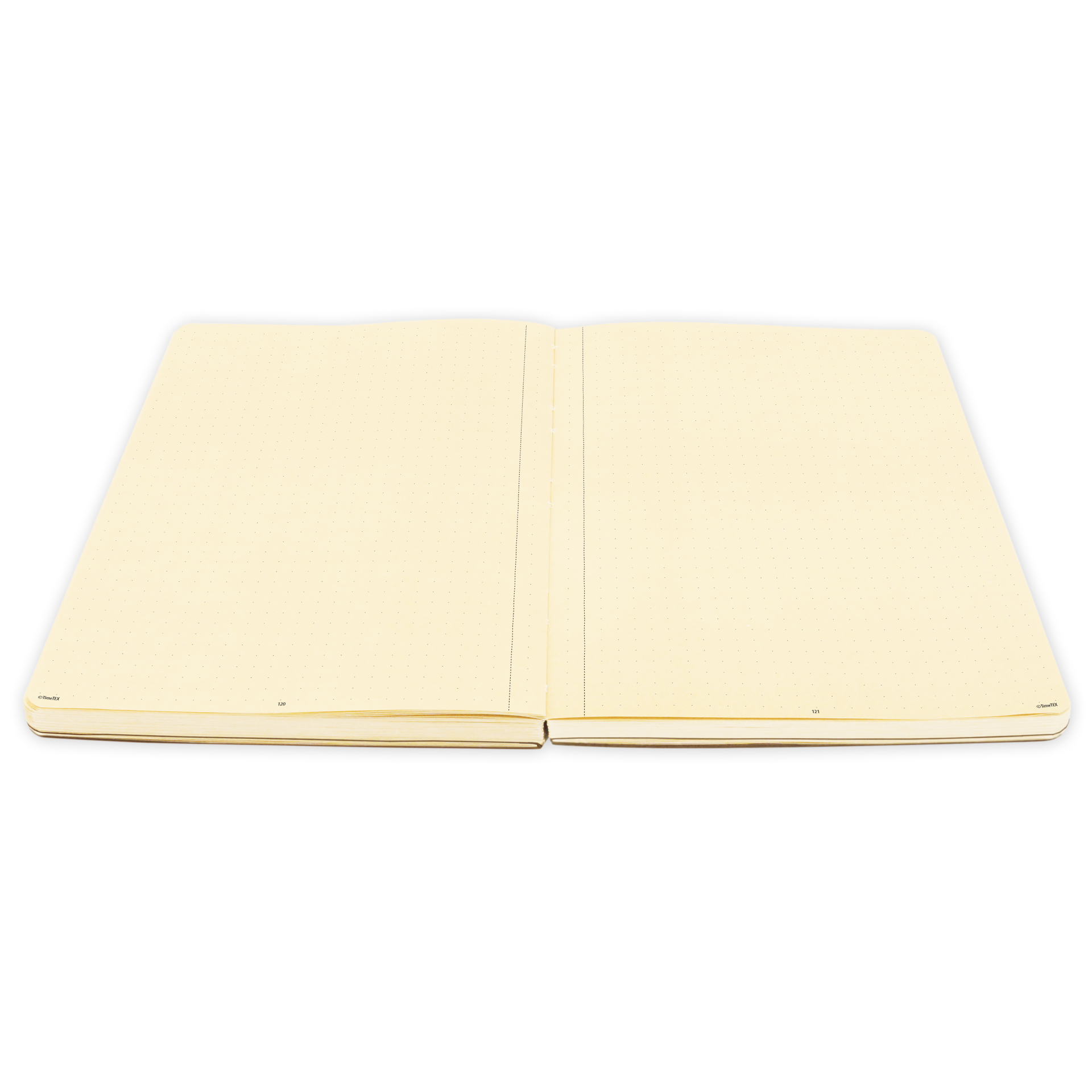 Natura-Notizbuch A4-Plus, 198 Seiten