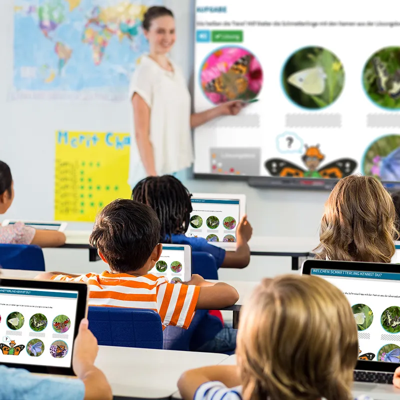 Didaktische DVD "Die wunderbare Welt der Schmetterlinge", tabletfähig