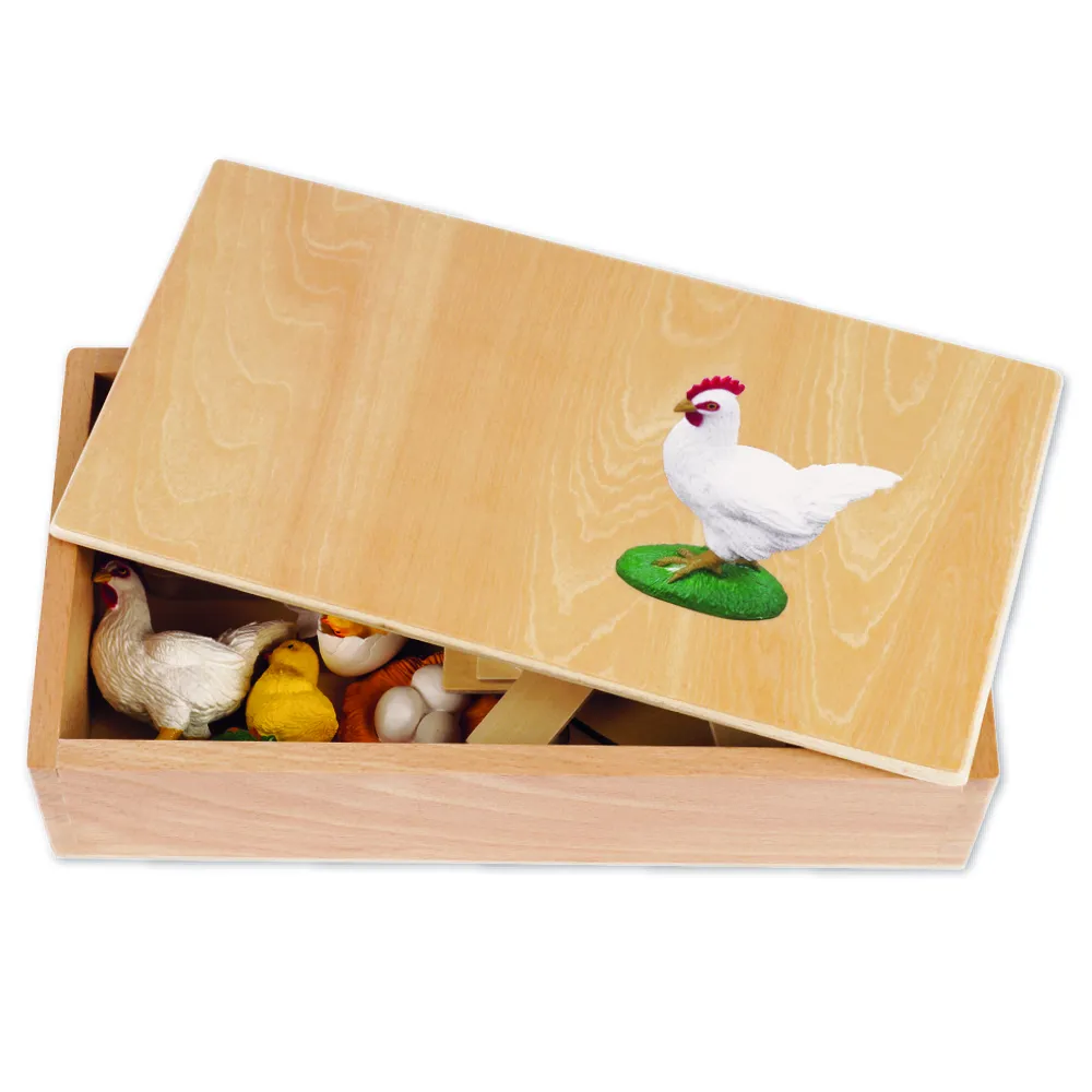 TimeTEX - Ciclul de viață la găini, în cutie din lemn "Montessori Premium"