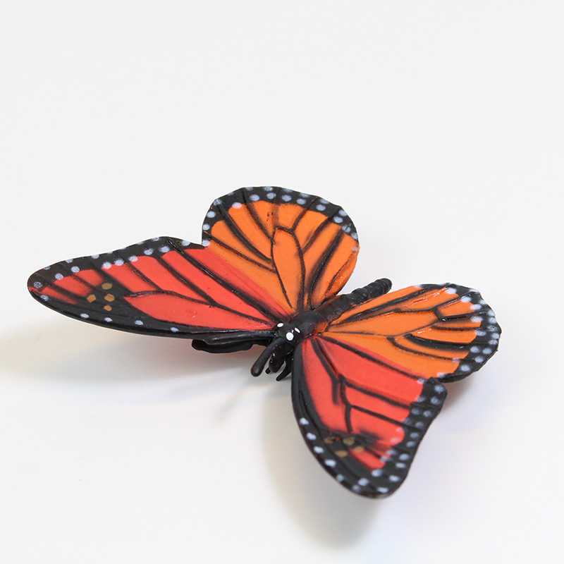 Lebenszyklus-Modell "Monarchfalter", 4-tlg.