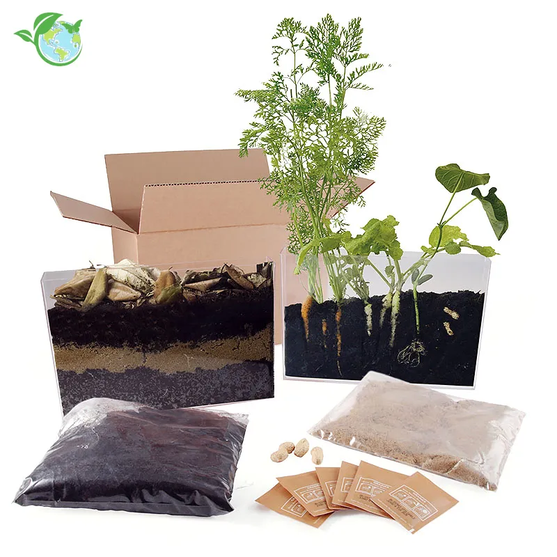 Beobachtungs-Set "Wurzeln + Regenwürmer", 13-tlg.