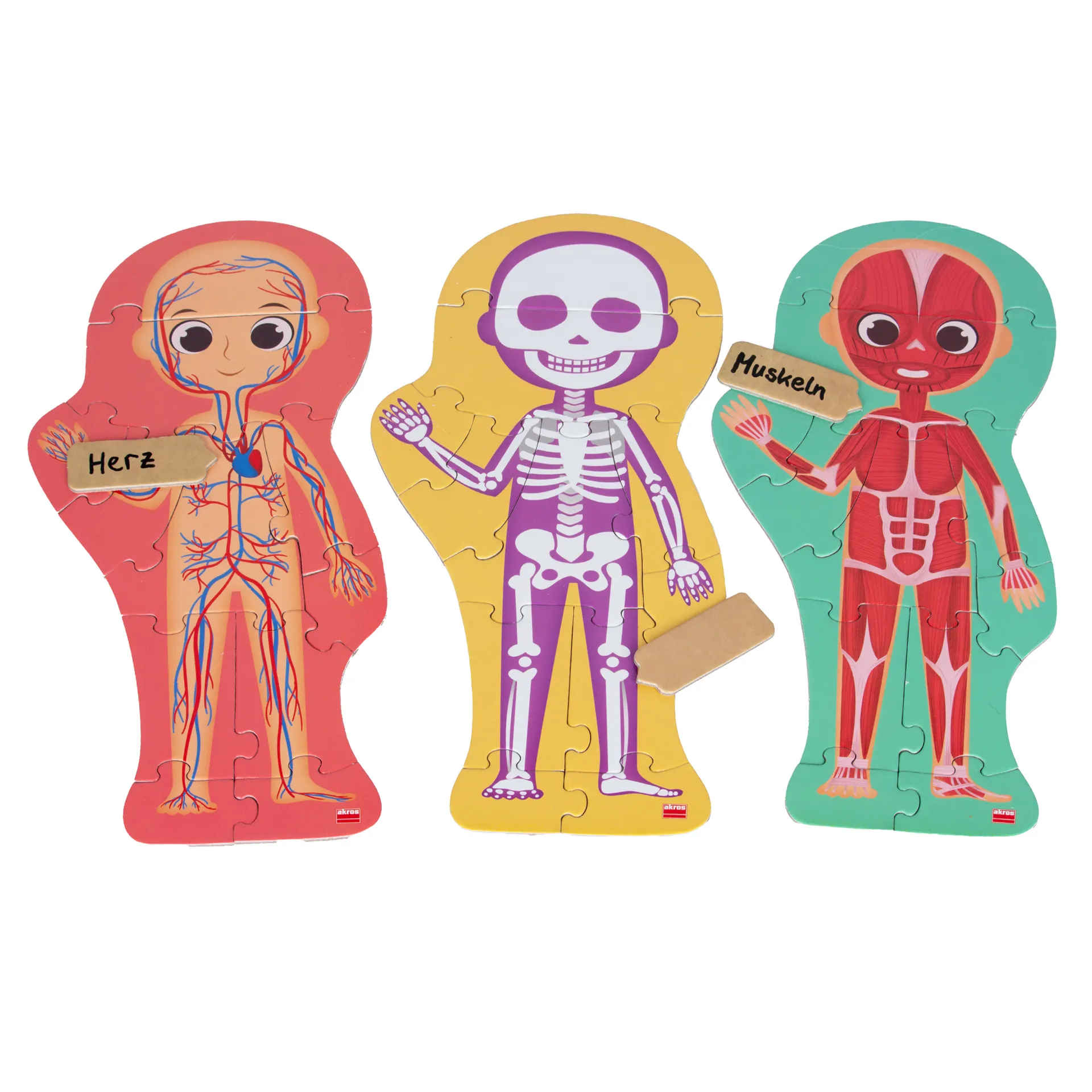 Læringsspil "Opdag din krop", 100 dele