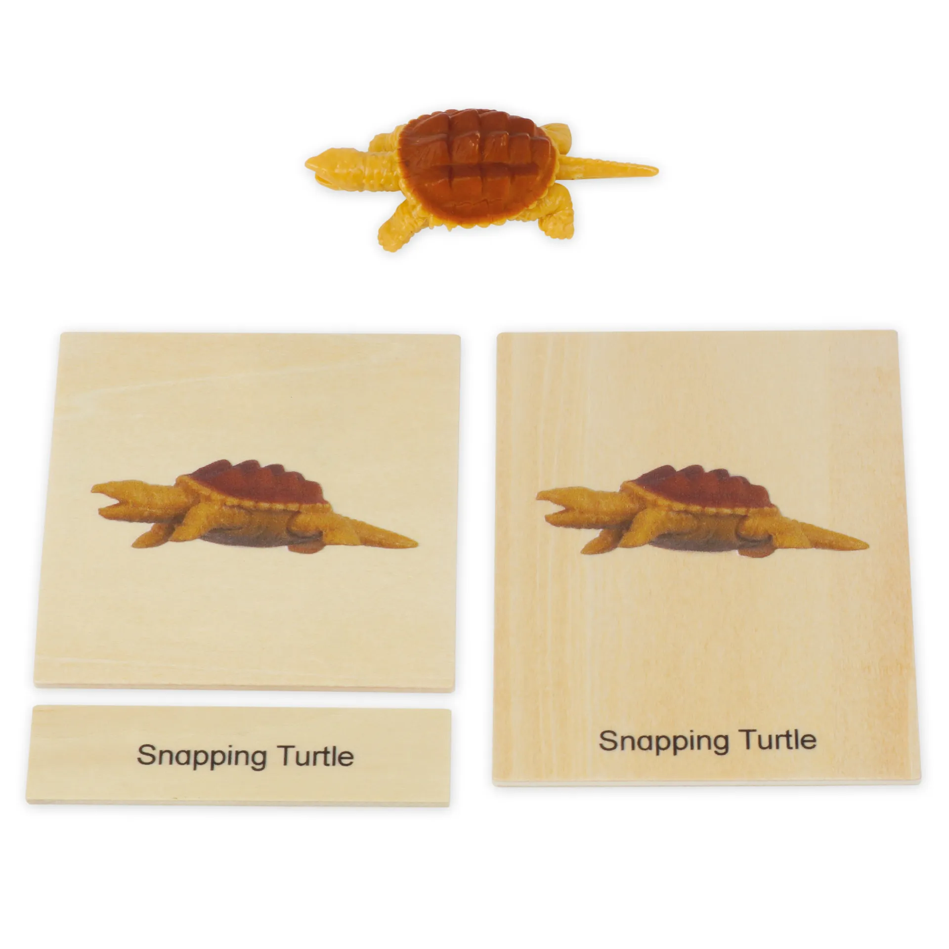 TimeTEX Mini-Tiere-Set Nordamerika "Montessori Premium"