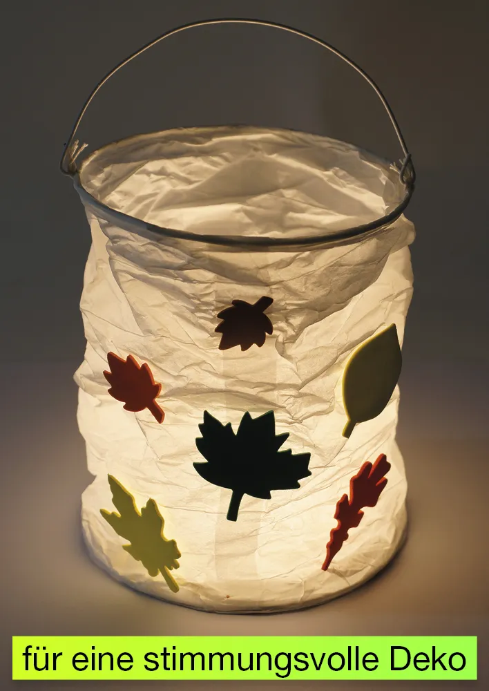 Papier-Lampions zylindrisch, 6 Stück