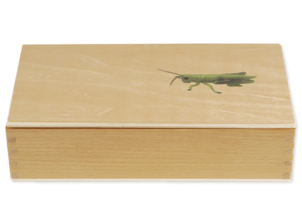 TimeTEX - Ciclul de viață la lăcuste, în cutie din lemn "Montessori Premium"